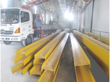 Cầu trục dầm đôi